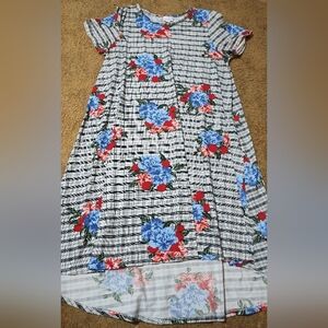 LuLaRoe dress, size L